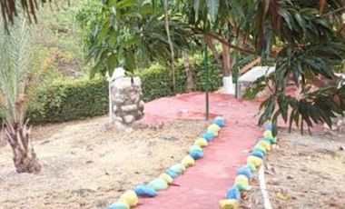 VENTA de FINCAS en RICAURTE