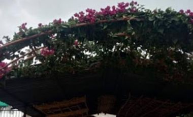 VENTA de FINCAS en RICAURTE