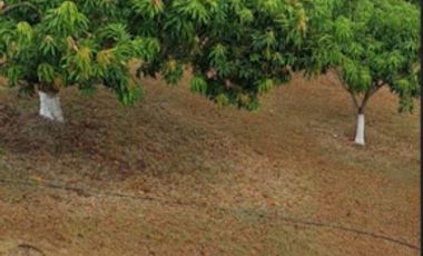 VENTA de FINCAS en RICAURTE