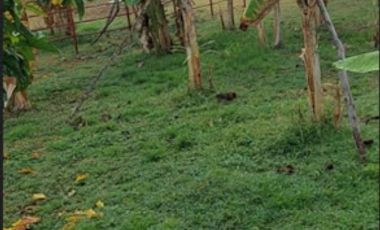 VENTA de FINCAS en RICAURTE