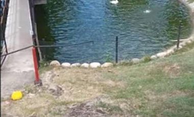 VENTA de FINCAS en RICAURTE