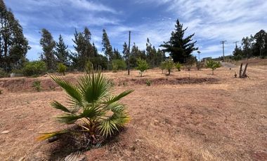 QUEBRADA LOS ROMEROS