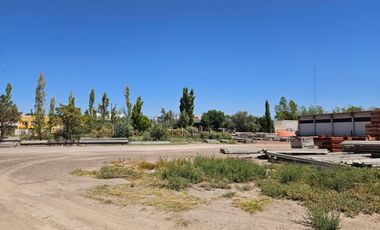 ALQUILER 3 Galpones más 6.300m2 de Predio libre en Cipolletti