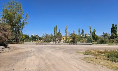 ALQUILER 3 Galpones más 6.300m2 de Predio libre en Cipolletti