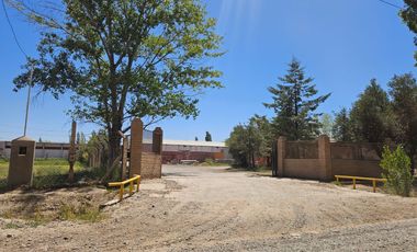 ALQUILER 3 Galpones más 6.300m2 de Predio libre en Cipolletti