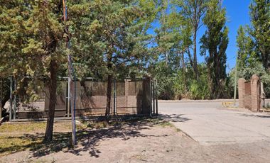 ALQUILER 3 Galpones más 6.300m2 de Predio libre en Cipolletti