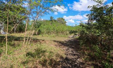 Inversionistas: Amplio terreno en esquina y con servicios