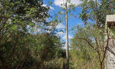 Inversionistas: Amplio terreno en esquina y con servicios