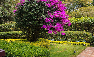 En Venta Departamento Penthouse e Condominio Trapiche Rancho Cortés Cuernavaca.