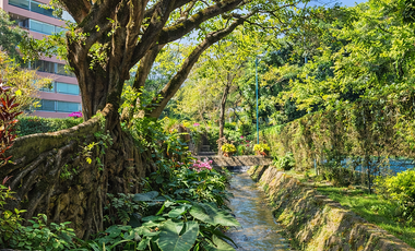 En Venta Departamento Penthouse e Condominio Trapiche Rancho Cortés Cuernavaca.