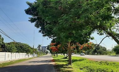 VENTA TERRENO DE 6 HECTAREAS SOBRE PERIFERICO NORTE MERIDA