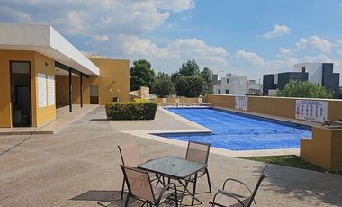 DEPART VENTA ZEN LIFE