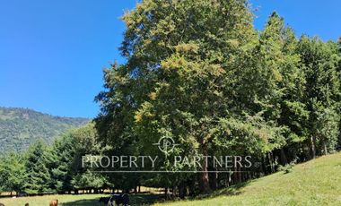 GRAN SITIO EN GOLFO AZUL