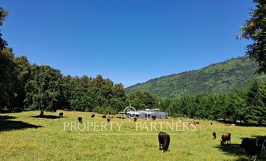 GRAN SITIO EN GOLFO AZUL