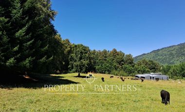 GRAN SITIO EN GOLFO AZUL