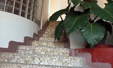 Villa Mariposa Playa La Ropa