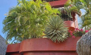 Villa Mariposa Playa La Ropa