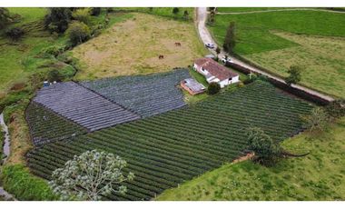 Venta de Casa  Finca en la unión