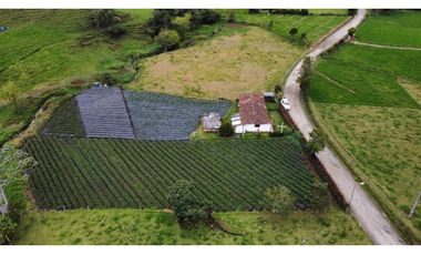 Venta de Casa  Finca en la unión