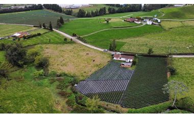 Venta de Casa  Finca en la unión