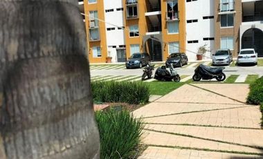 Departamento Educadores Jaliscienses ID: 165507