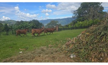 Casa en Venta en Copacabana