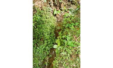 TENA FINCA EN VENTA 1050M2