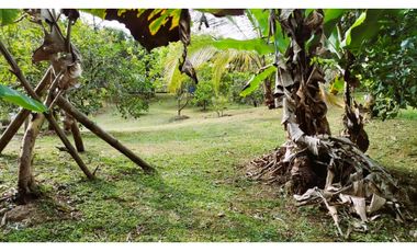 TENA FINCA EN VENTA 1050M2