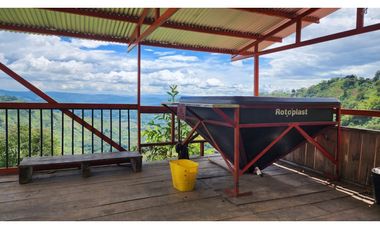 Finca cafetera con potencial turístico sector Buenavista 16 cuadras