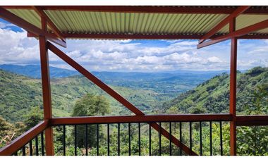 Finca cafetera con potencial turístico sector Buenavista 16 cuadras