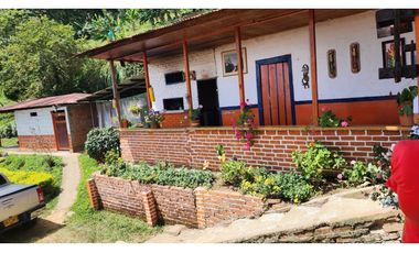 Finca cafetera con potencial turístico sector Buenavista 16 cuadras
