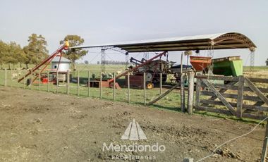 Campo - 235 hectáreas / Mechongué, Gral. Alvarado
