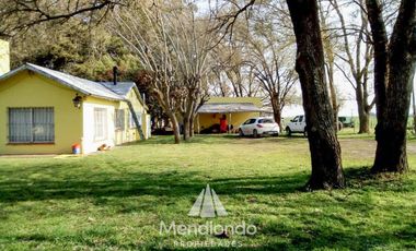Campo - 235 hectáreas / Mechongué, Gral. Alvarado