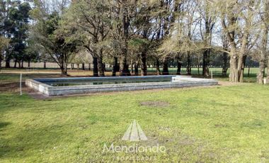 Campo - 235 hectáreas / Mechongué, Gral. Alvarado