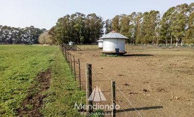 Campo - 235 hectáreas / Mechongué, Gral. Alvarado