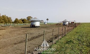Campo - 235 hectáreas / Mechongué, Gral. Alvarado