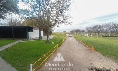 Campo - 235 hectáreas / Mechongué, Gral. Alvarado