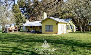 Campo - 235 hectáreas / Mechongué, Gral. Alvarado