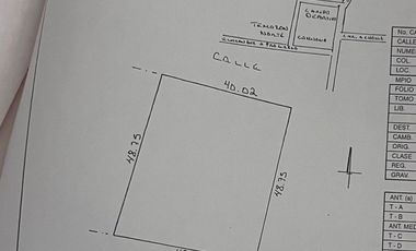 TERRENO EN TEMOZON DESDE 1,000MT2