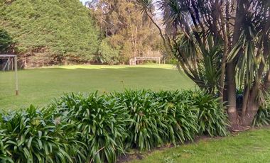 Campo - 6 hectáreas con 2 casas /  Miramar, Gral. Alvarado