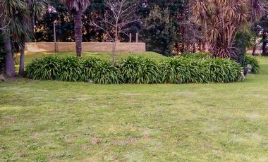 Campo - 6 hectáreas con 2 casas /  Miramar, Gral. Alvarado