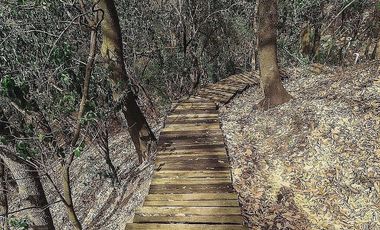 Departamento en renta en Bio Centenario