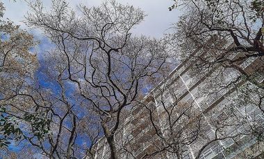 Departamento en renta en Bio Centenario