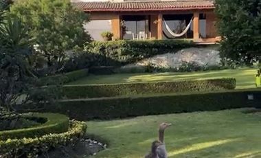 CASA EN VENTA, RESIDENCIA VISTA DEL VALLE, NAUCALPAN, ESTADO MÉXICO