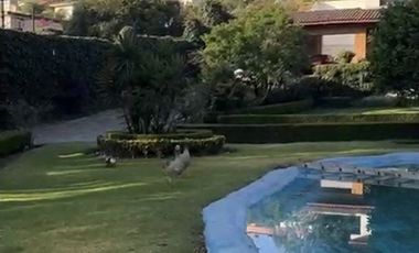 CASA EN VENTA, RESIDENCIA VISTA DEL VALLE, NAUCALPAN, ESTADO MÉXICO