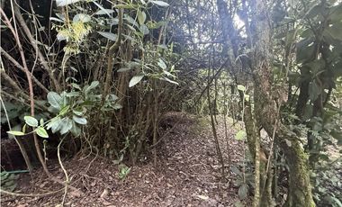 Casa en Chia (Cundinamarca) RAH CO: 26-124