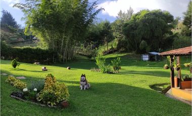 FINCA EN VENTA MARINILLA - VEREDA  LA MILAGROSA