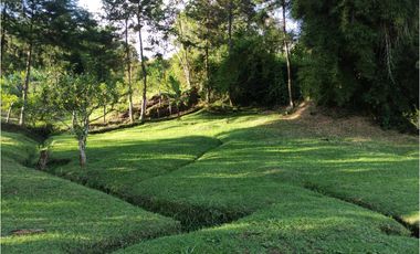 FINCA EN VENTA MARINILLA - VEREDA  LA MILAGROSA