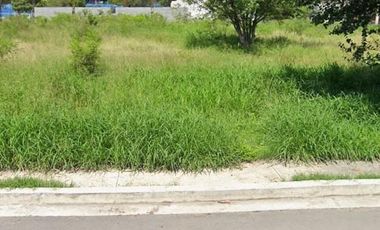 Magnífico Terreno en Centro de Escobedo, N. L.