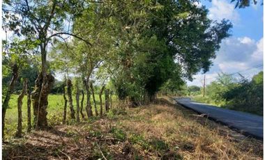VENTA DE TERENO EN TINAJAS CHIRIQUI 12 HECTAREAS